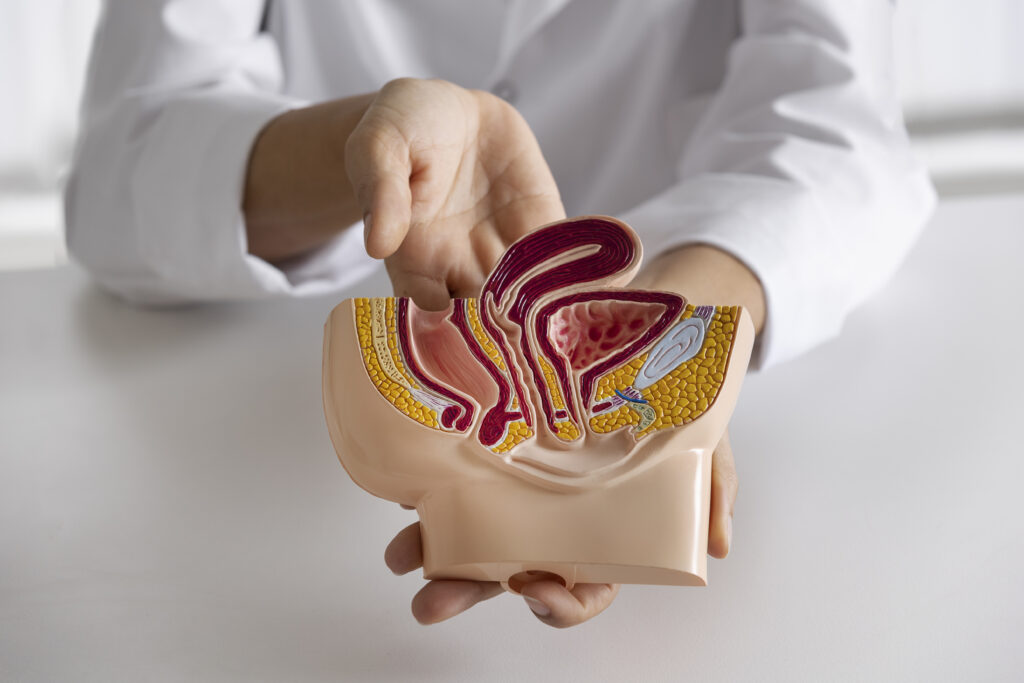 Prostate Cancer Symptoms: Early Signs & Red Flags
